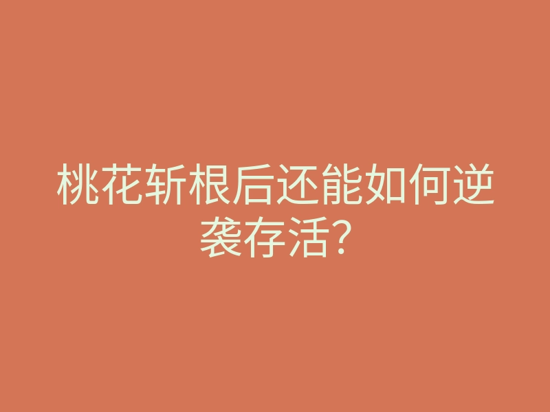 桃花斩根后还能如何逆袭存活?