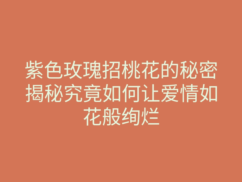 紫色玫瑰招桃花的秘密揭秘究竟如何让爱情如花般绚烂
