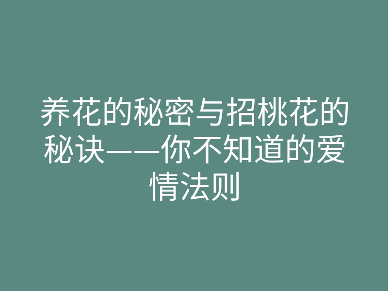 养花的秘密与招桃花的秘诀——你不知道的爱情法则