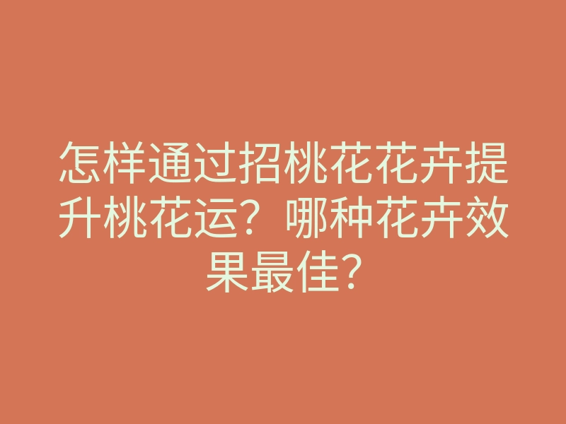 怎样通过招桃花花卉提升桃花运?哪种花卉效果最佳?