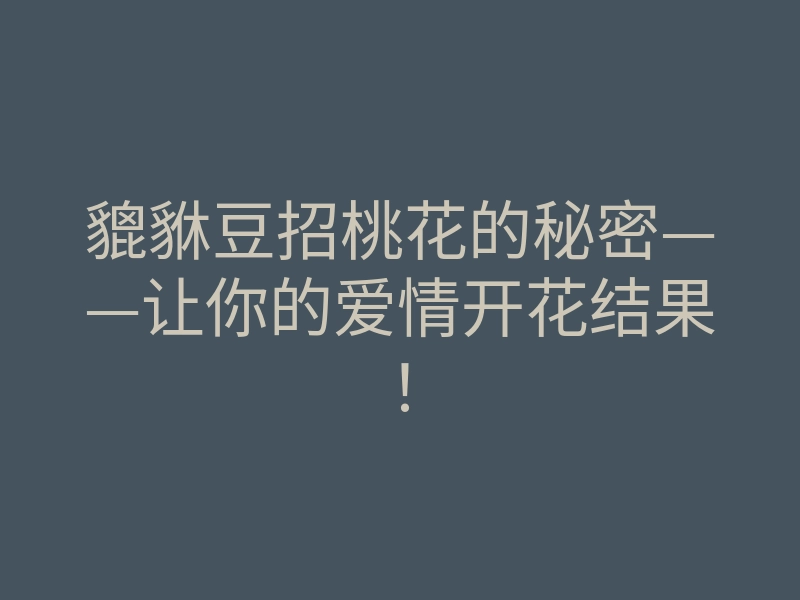 貔貅豆招桃花的秘密——让你的爱情开花结果!