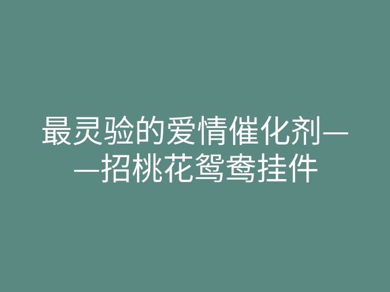 最灵验的爱情催化剂——招桃花鸳鸯挂件