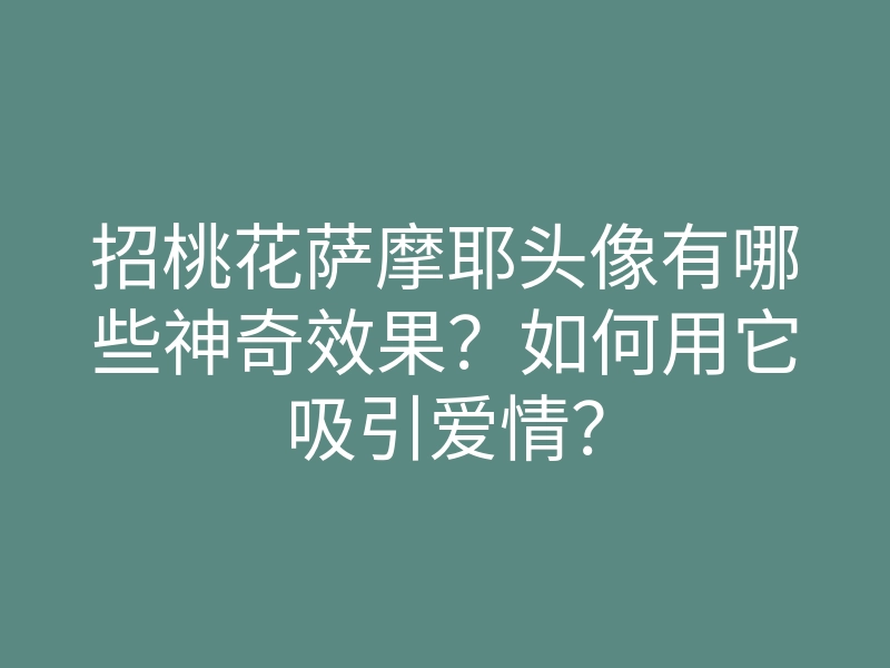 招桃花萨摩耶头像有哪些神奇效果?如何用它吸引爱情?