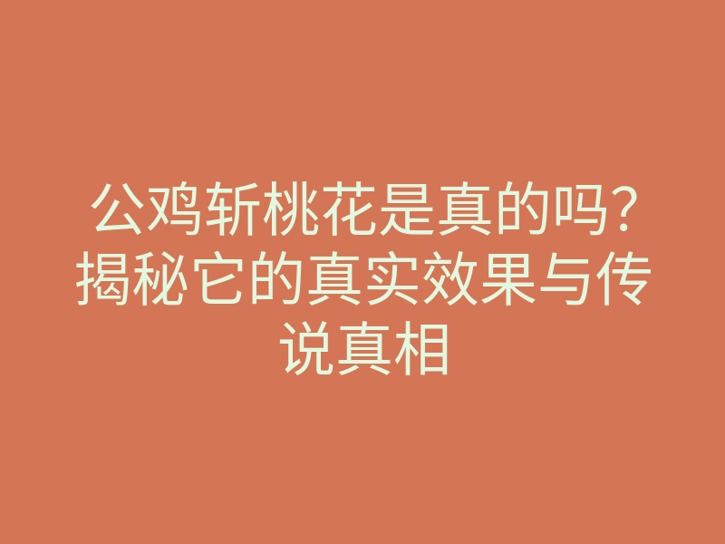 公鸡斩桃花是真的吗?揭秘它的真实效果与传说真相
