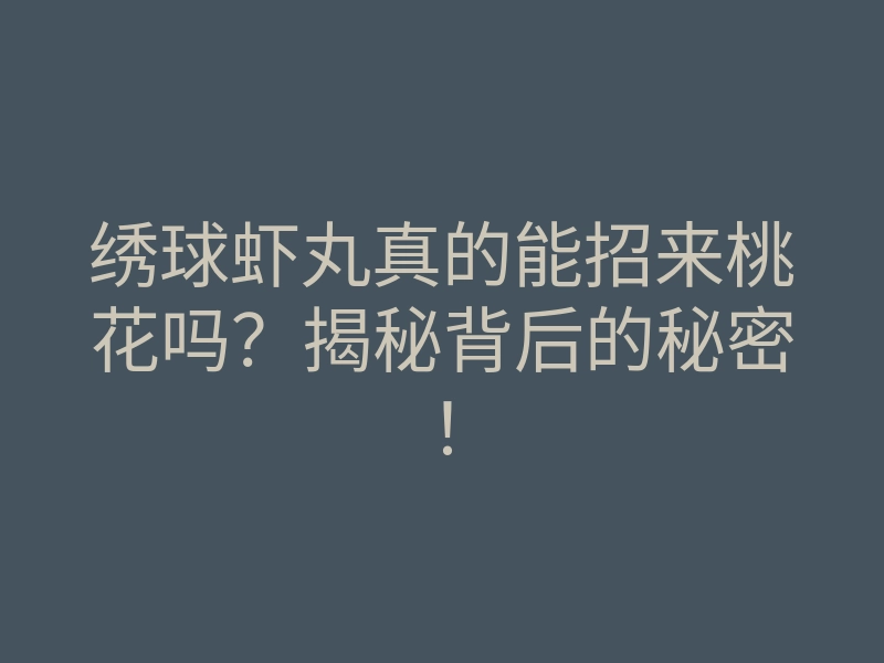 绣球虾丸真的能招来桃花吗?揭秘背后的秘密!
