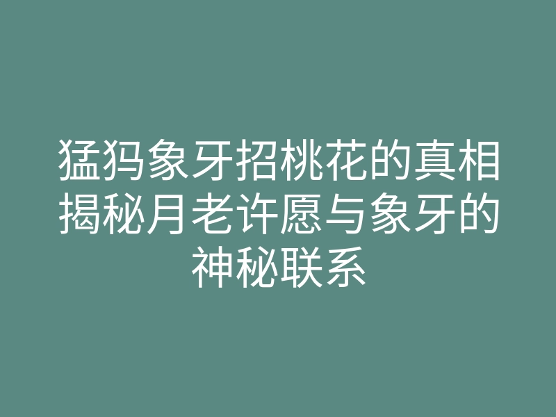 猛犸象牙招桃花的真相揭秘月老许愿与象牙的神秘联系