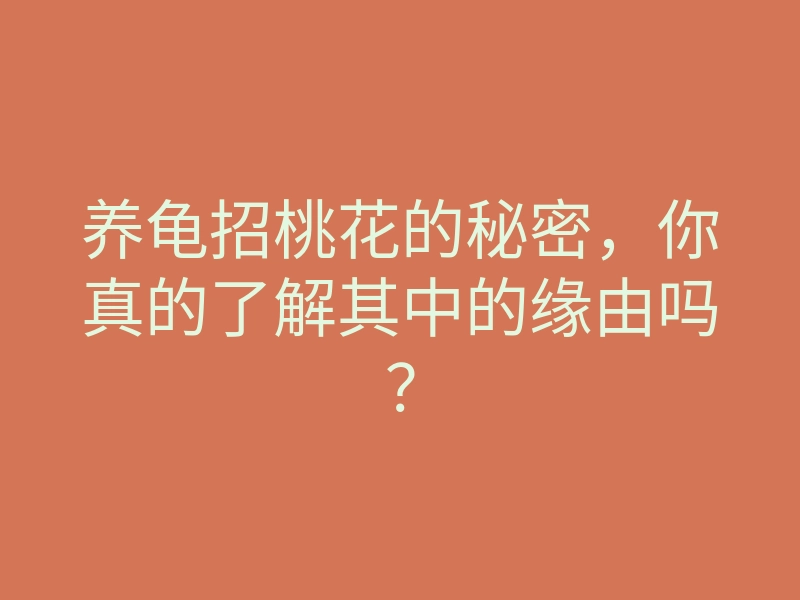 养龟招桃花的秘密,你真的了解其中的缘由吗?