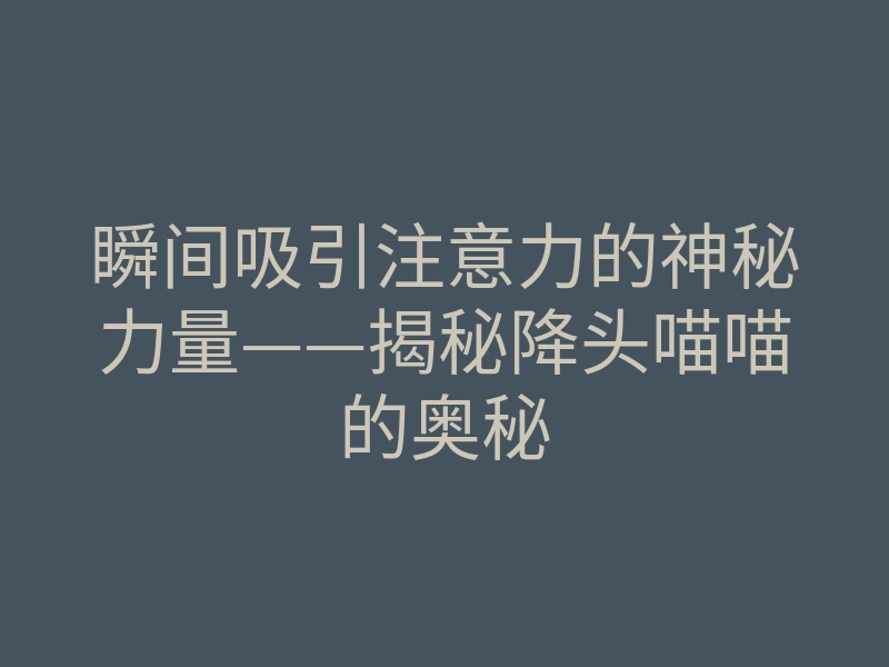 瞬间吸引注意力的神秘力量——揭秘降头喵喵的奥秘
