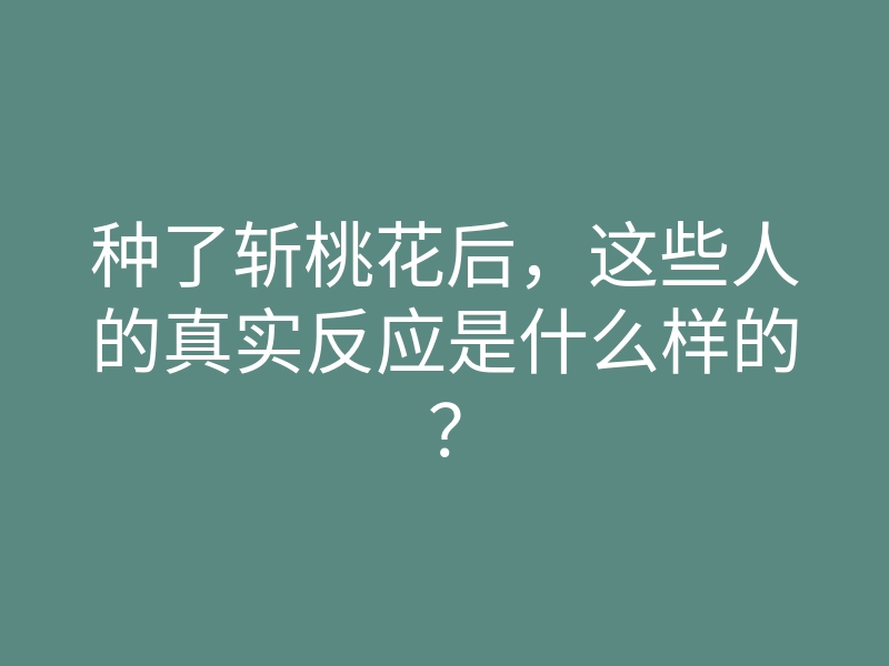 种了斩桃花后，这些人的真实反应是什么样的？