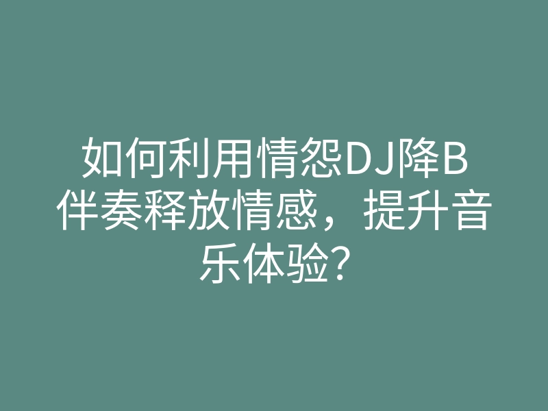 如何利用情怨DJ降B伴奏释放情感,提升音乐体验?