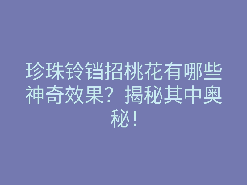 珍珠铃铛招桃花有哪些神奇效果？揭秘其中奥秘！