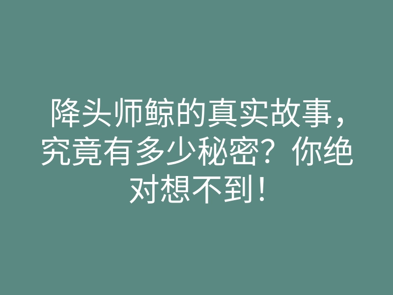 降头师鲸的真实故事,究竟有多少秘密?你绝对想不到!