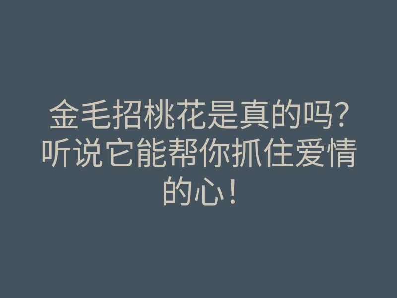 金毛招桃花是真的吗?听说它能帮你抓住爱情的心!