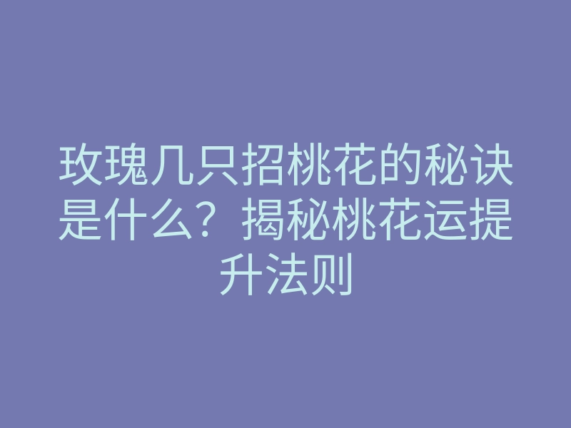 玫瑰几只招桃花的秘诀是什么?揭秘桃花运提升法则