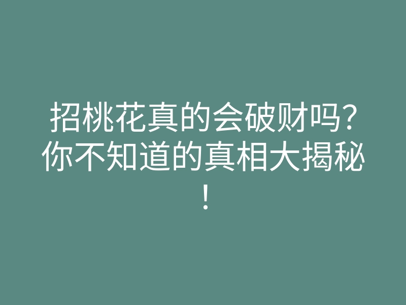 招桃花真的会破财吗?你不知道的真相大揭秘!