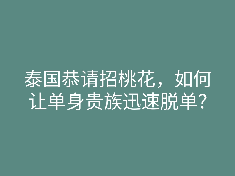 泰国恭请招桃花,如何让单身贵族迅速脱单?