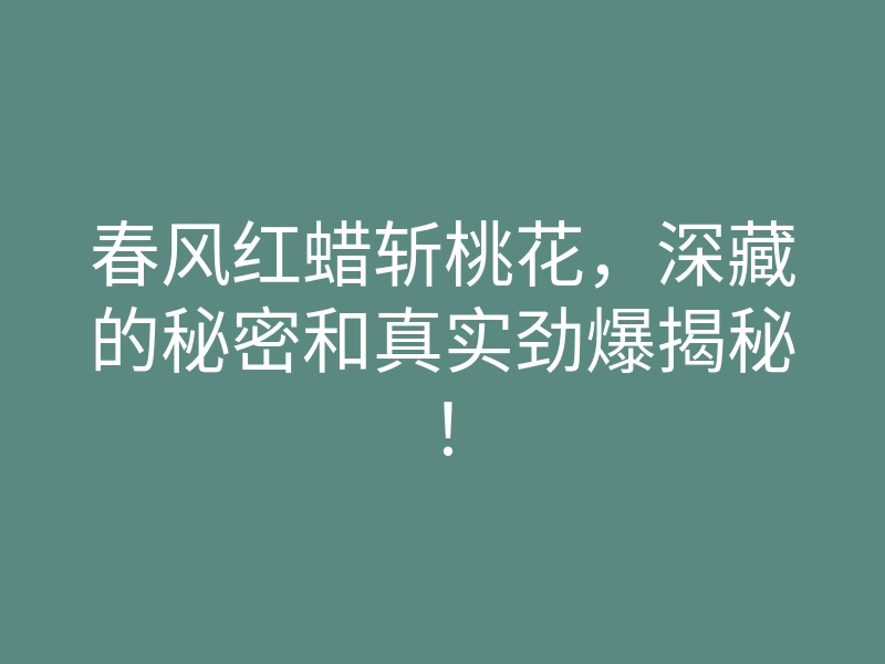 春风红蜡斩桃花，深藏的秘密和真实劲爆揭秘！