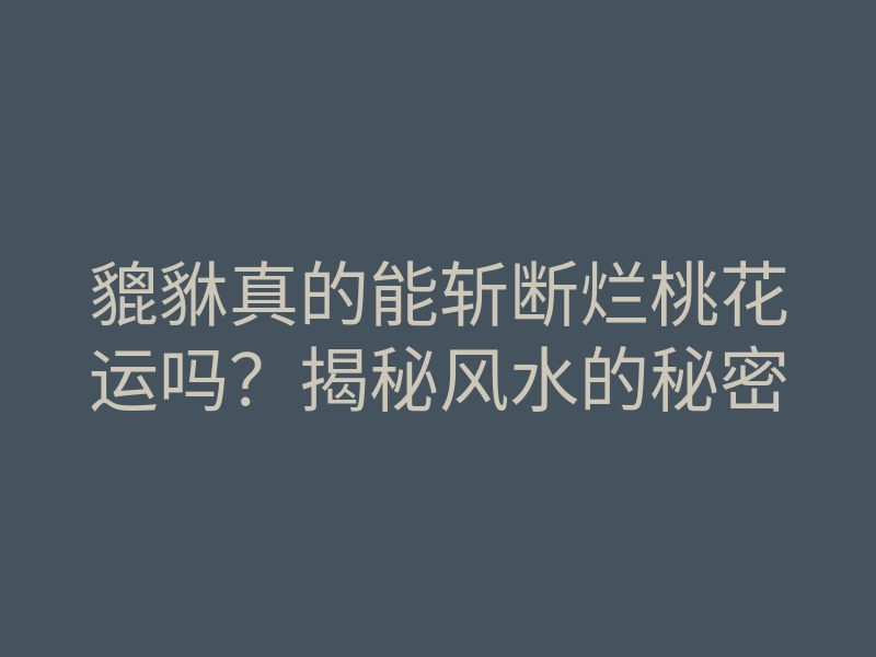 貔貅真的能斩断烂桃花运吗?揭秘风水的秘密