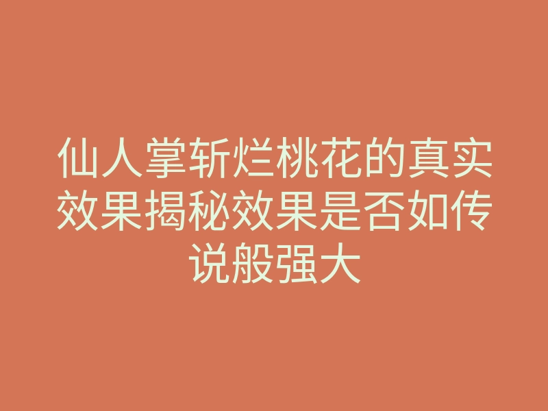 仙人掌斩烂桃花的真实效果揭秘效果是否如传说般强大