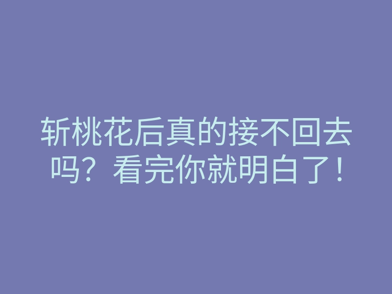 斩桃花后真的接不回去吗?看完你就明白了!