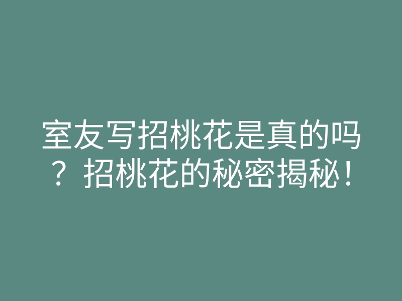 室友写招桃花是真的吗?招桃花的秘密揭秘!