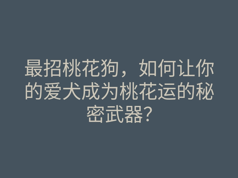最招桃花狗,如何让你的爱犬成为桃花运的秘密武器?