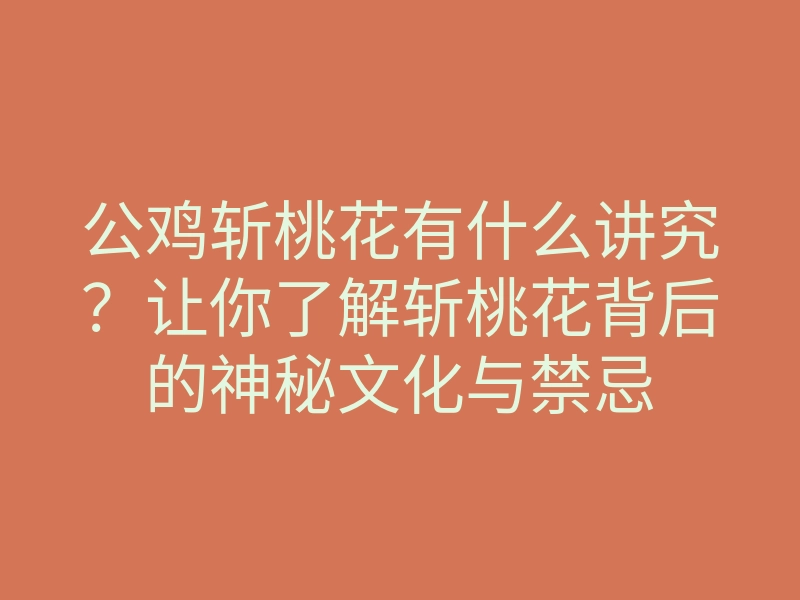 公鸡斩桃花有什么讲究?让你了解斩桃花背后的神秘文化与禁忌