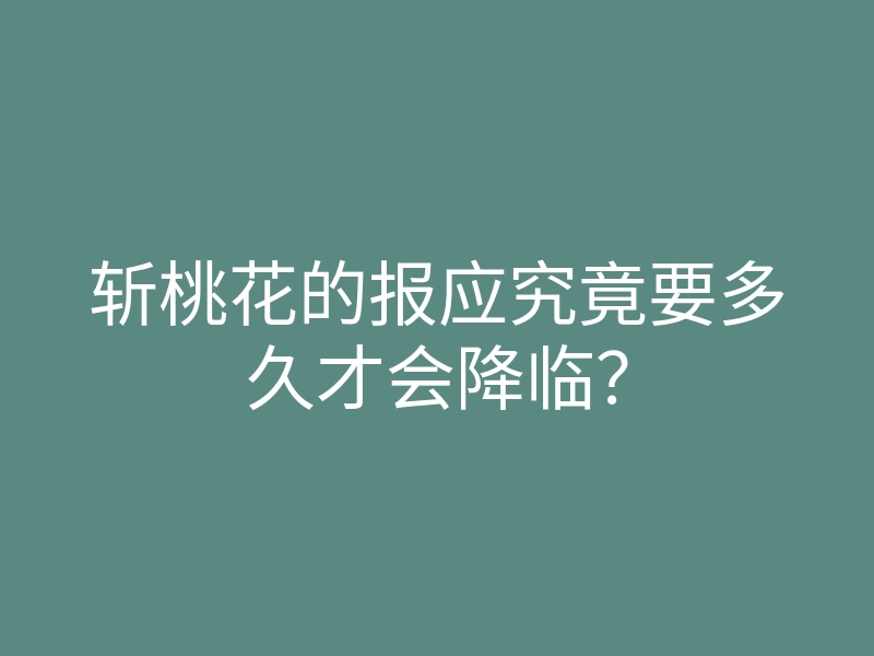 斩桃花的报应究竟要多久才会降临?