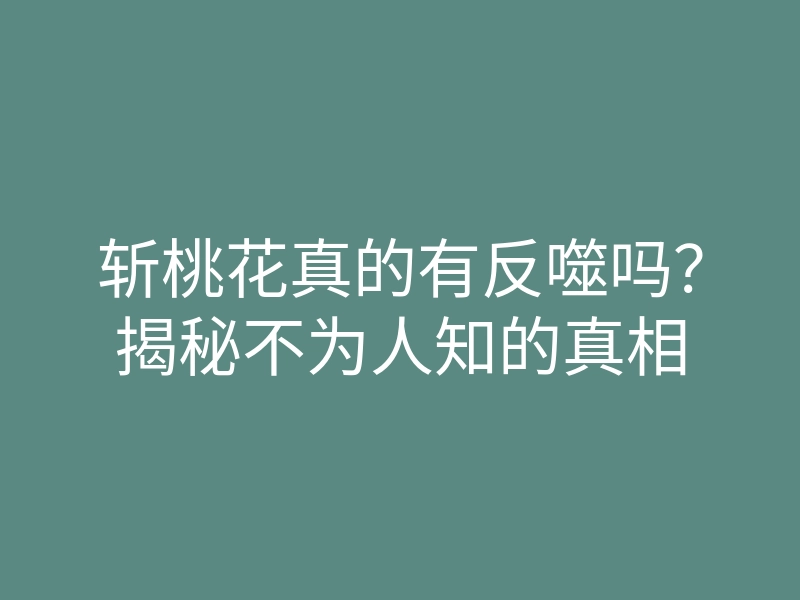 斩桃花真的有反噬吗?揭秘不为人知的真相