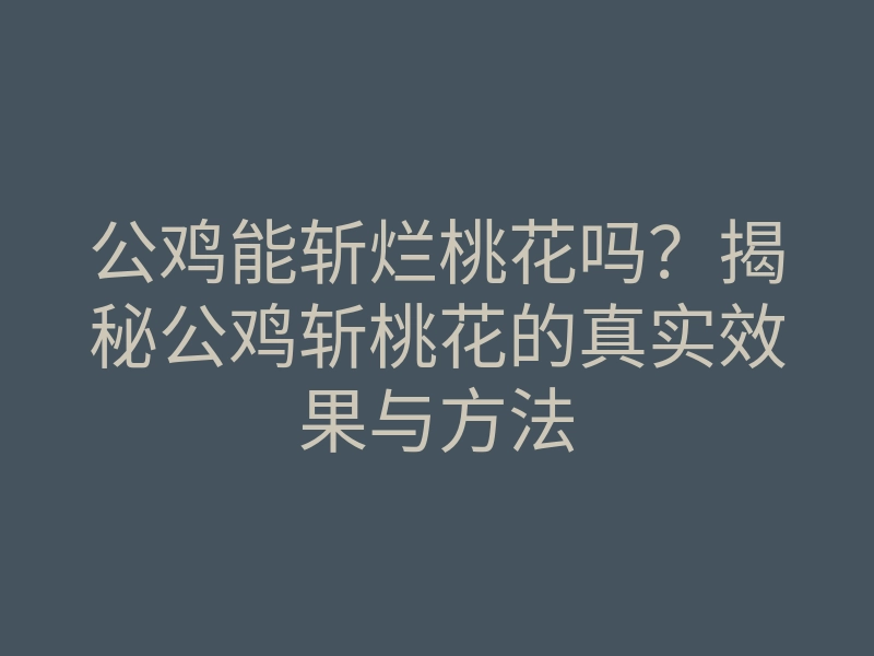 公鸡能斩烂桃花吗？揭秘公鸡斩桃花的真实效果与方法