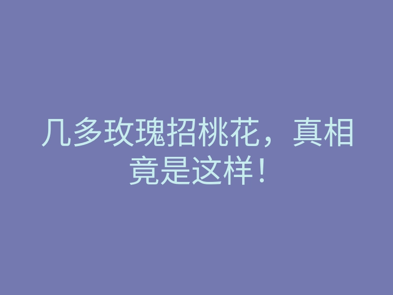 几多玫瑰招桃花,真相竟是这样!