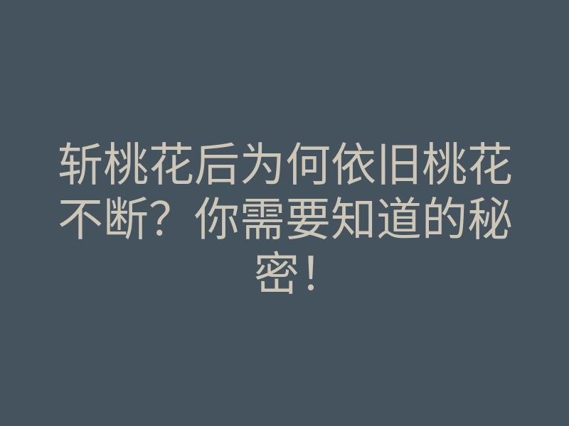 斩桃花后为何依旧桃花不断?你需要知道的秘密!