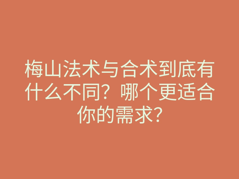 梅山法术与合术到底有什么不同?哪个更适合你的需求?