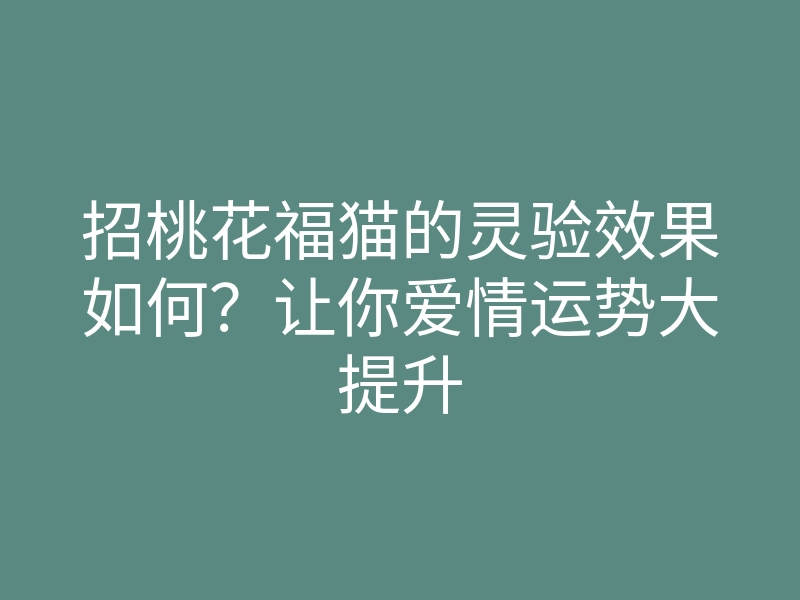招桃花福猫的灵验效果如何?让你爱情运势大提升