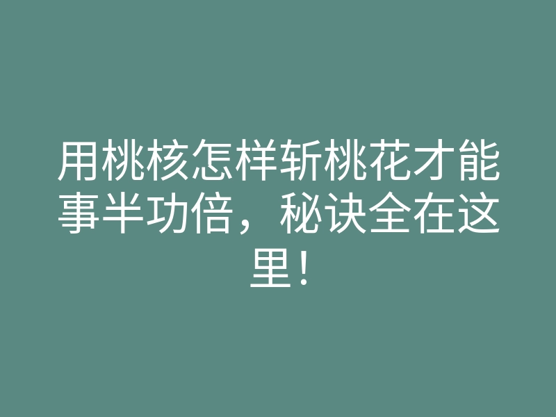 用桃核怎样斩桃花才能事半功倍,秘诀全在这里!