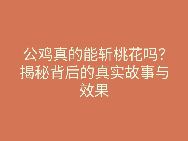 公鸡真的能斩桃花吗?揭秘背后的真实故事与效果