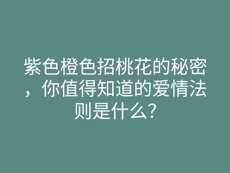 紫色橙色招桃花的秘密,你值得知道的爱情法则是什么?