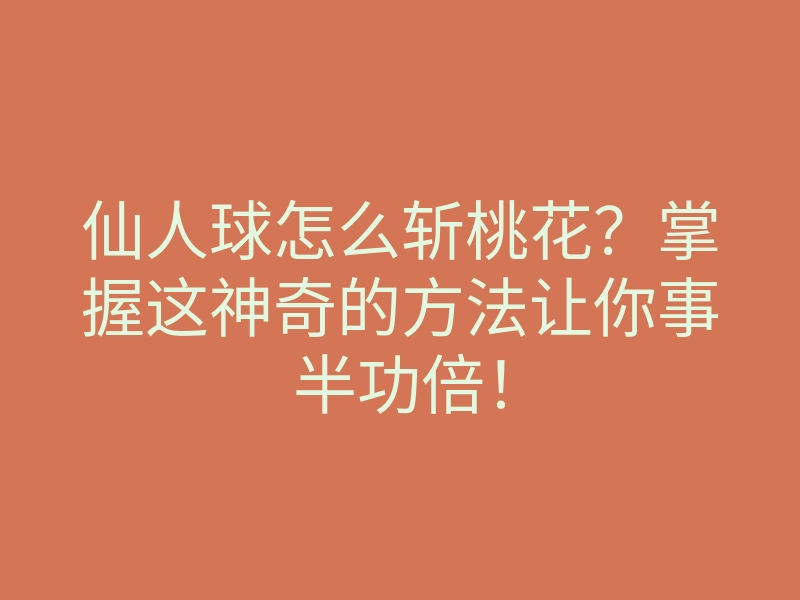 仙人球怎么斩桃花?掌握这神奇的方法让你事半功倍!