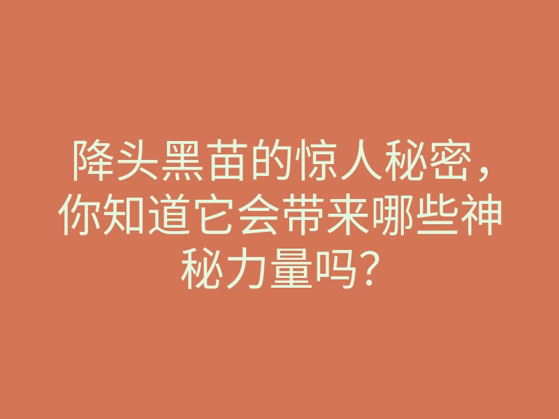 降头黑苗的惊人秘密,你知道它会带来哪些神秘力量吗?