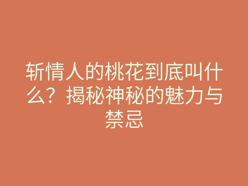 斩情人的桃花到底叫什么?揭秘神秘的魅力与禁忌