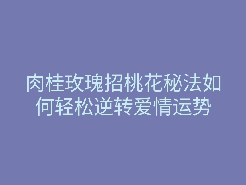 肉桂玫瑰招桃花秘法如何轻松逆转爱情运势