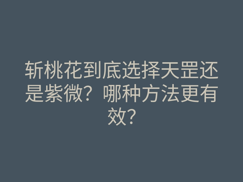 斩桃花到底选择天罡还是紫微?哪种方法更有效?