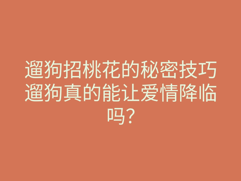 遛狗招桃花的秘密技巧遛狗真的能让爱情降临吗?