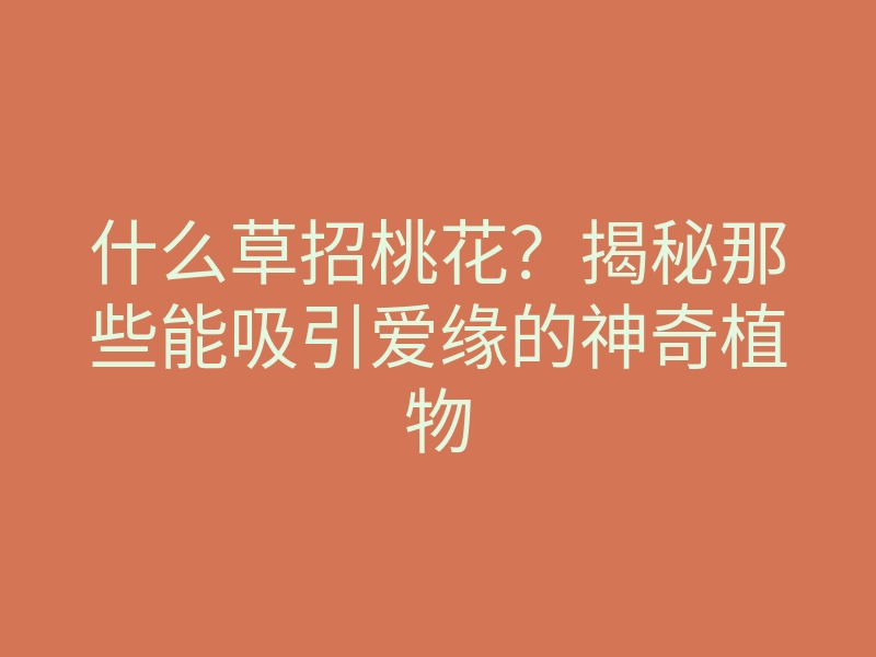 什么草招桃花?揭秘那些能吸引爱缘的神奇植物