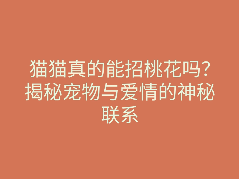 猫猫真的能招桃花吗?揭秘宠物与爱情的神秘联系