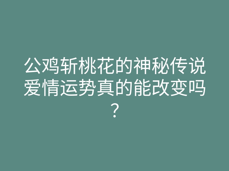 公鸡斩桃花的神秘传说爱情运势真的能改变吗?