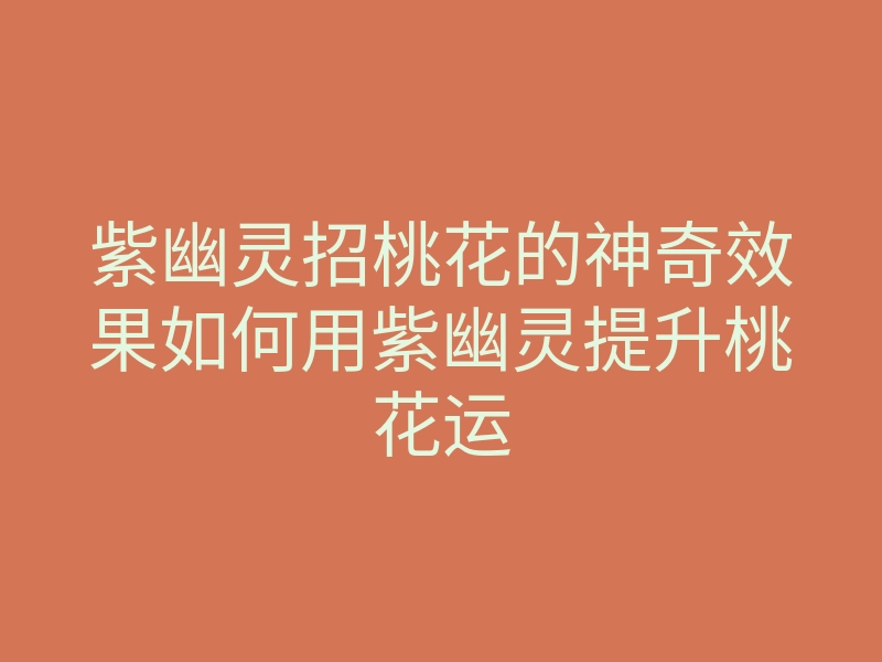 紫幽灵招桃花的神奇效果如何用紫幽灵提升桃花运