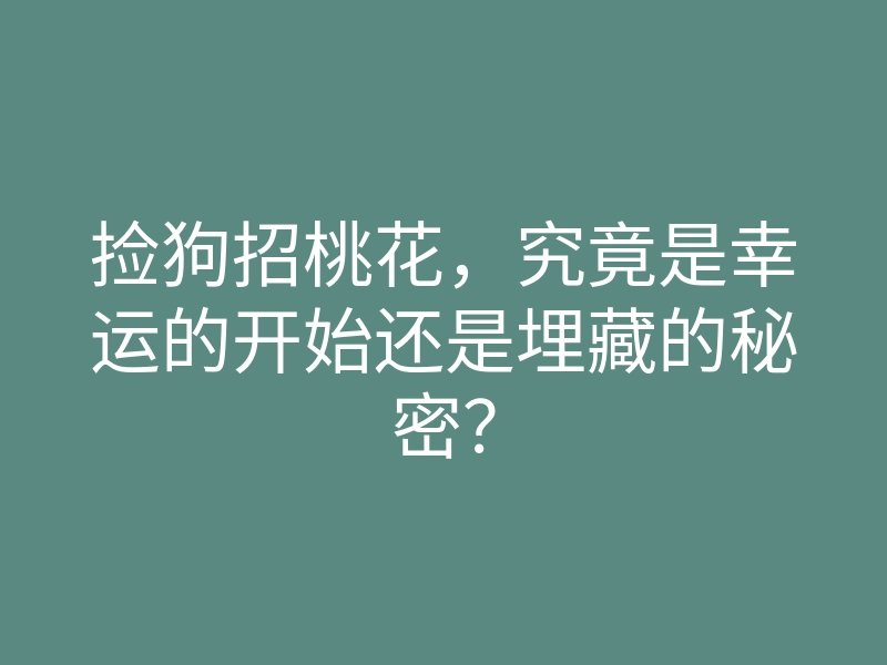 捡狗招桃花，究竟是幸运的开始还是埋藏的秘密？