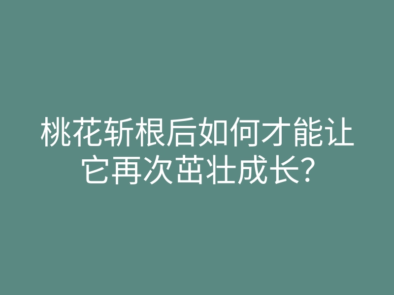 桃花斩根后如何才能让它再次茁壮成长?