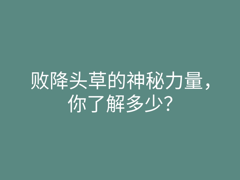 败降头草的神秘力量,你了解多少?
